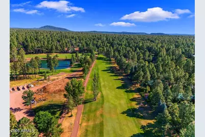 4251 Branding Iron Loop Loop, Pinetop, AZ 85935 - Photo 113
