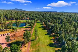 4251 Branding Iron Loop Loop, Pinetop, AZ 85935 - Photo 113