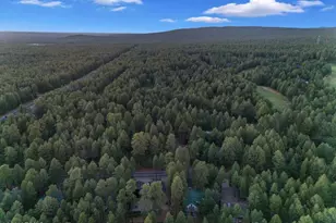 4251 Branding Iron Loop Loop, Pinetop, AZ 85935 - Photo 133