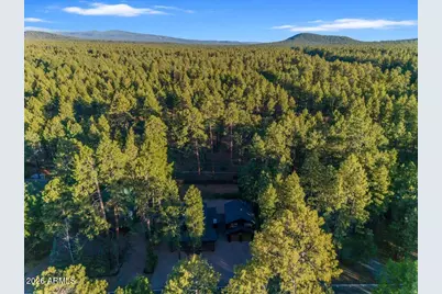 4251 Branding Iron Loop Loop, Pinetop, AZ 85935 - Photo 125