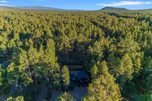 4251 Branding Iron Loop Loop, Pinetop, AZ 85935 - Photo 125