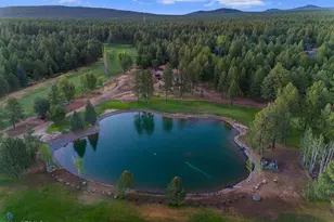 4251 Branding Iron Loop Loop, Pinetop, AZ 85935 - Photo 3