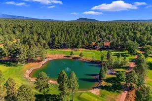 4251 Branding Iron Loop Loop, Pinetop, AZ 85935 - Photo 115