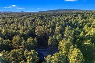 4251 Branding Iron Loop Loop, Pinetop, AZ 85935 - Photo 129