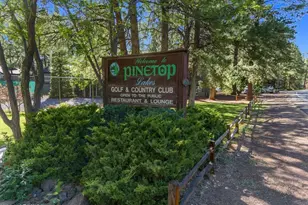 4251 Branding Iron Loop Loop, Pinetop, AZ 85935 - Photo 119