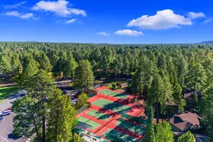 4251 Branding Iron Loop Loop, Pinetop, AZ 85935 - Photo 109