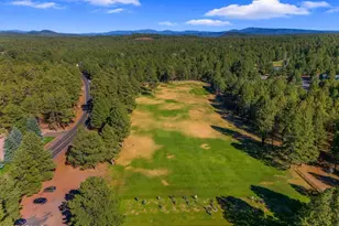 4251 Branding Iron Loop Loop, Pinetop, AZ 85935 - Photo 111