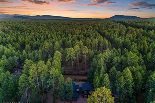 4251 Branding Iron Loop Loop, Pinetop, AZ 85935 - Photo 49