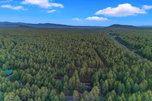 4251 Branding Iron Loop Loop, Pinetop, AZ 85935 - Photo 131