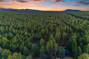 4251 Branding Iron Loop Loop, Pinetop, AZ 85935 - Photo 51