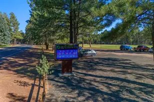 4273 E Branding Iron Loop Loop, Pinetop, AZ 85935 - Photo 127