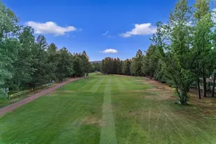 4273 E Branding Iron Loop Loop, Pinetop, AZ 85935 - Photo 133