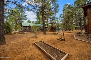 2702 Palomino Trail, Overgaard, AZ 85933 - Photo 29