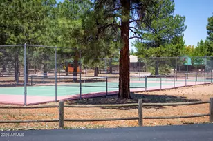 2702 Palomino Trail, Overgaard, AZ 85933 - Photo 45