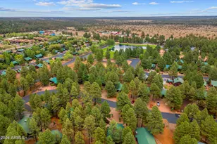 2702 Palomino Trail, Overgaard, AZ 85933 - Photo 33