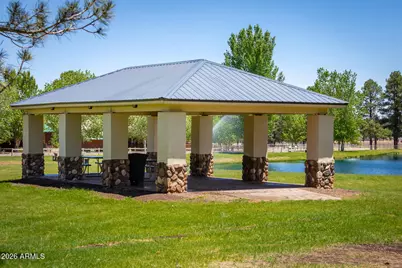 2702 Palomino Trail, Overgaard, AZ 85933 - Photo 43