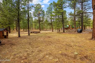 2 Acr 1027 Rd, Greer, AZ 85927 - Photo 43