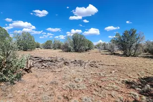 Parcel B N Cienega --, Williams, AZ 86046 - Photo 1