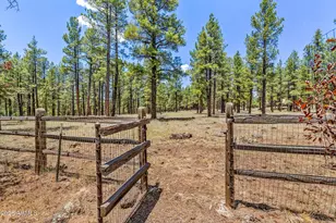 2901 N Creekside Dr, Flagstaff, AZ 86001 - Photo 75