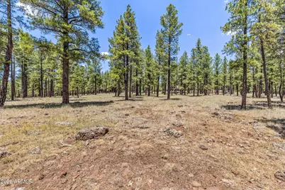 2901 N Creekside Drive, Flagstaff, AZ 86001 - Photo 79