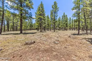2901 N Creekside Dr, Flagstaff, AZ 86001 - Photo 79