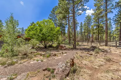 2901 N Creekside Drive, Flagstaff, AZ 86001 - Photo 77