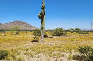31773 N Thompson Rd, Queen Creek, AZ 85144 - Photo 1