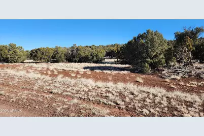 4 County Rd N8715 -- #-, Concho, AZ 85924 - Photo 5
