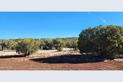 4 County Rd N8715 -- #-, Concho, AZ 85924 - Photo 7