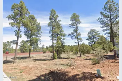 601 S Campbell Lane #66, Show Low, AZ 85901 - Photo 1