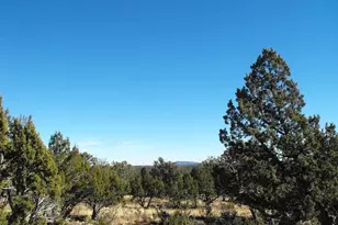 4131 Sunset Ridge Loop, Happy Jack, AZ 86024 - Photo 1