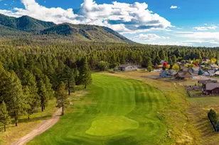 300 Fairway Dr, Williams, AZ 86046 - Photo 67