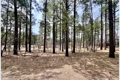 4024 Latigo Way #-, Pinetop, AZ 85929 - Photo 3