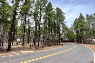 4024 Latigo Way, Pinetop, AZ 85929 - Photo 1