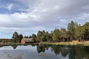 11 County Road N1333 --, Greer, AZ 85927 - Photo 9