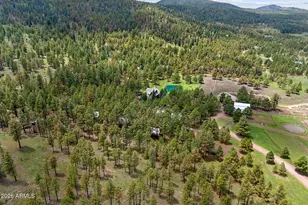 11 County Road N1333 --, Greer, AZ 85927 - Photo 25