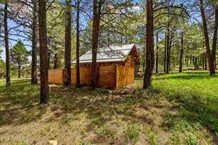 11 County Road N1333 --, Greer, AZ 85927 - Photo 17