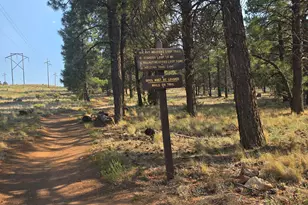2831 N Walnut Hills Dr, Flagstaff, AZ 86004 - Photo 33