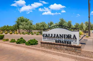 2538 E Ravenswood Dr, Gilbert, AZ 85298 - Photo 61