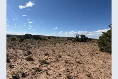 Tbd County Rd N7207 -- #-, Saint Johns, AZ 85936 - Photo 1
