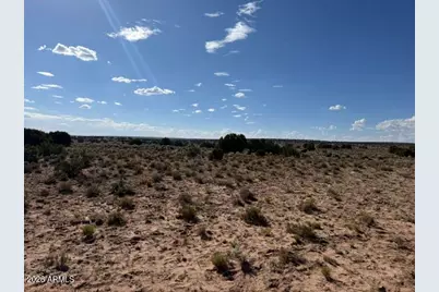 Tbd County Rd N7207 -- #-, Saint Johns, AZ 85936 - Photo 13
