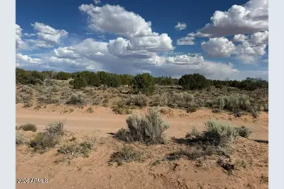 Tbd County Rd N7207 -- #-, Saint Johns, AZ 85936 - Photo 7