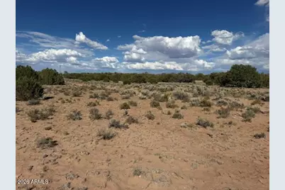 Tbd County Rd N7207 -- #-, Saint Johns, AZ 85936 - Photo 15