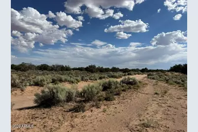 Tbd County Rd N7207 -- #-, Saint Johns, AZ 85936 - Photo 9