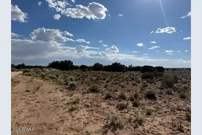 Tbd County Rd N7207 -- #-, Saint Johns, AZ 85936 - Photo 11