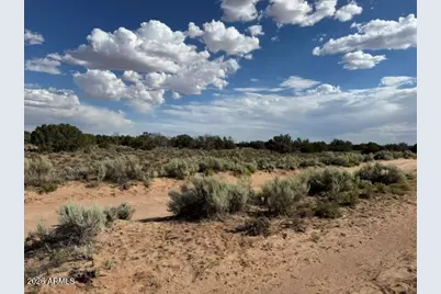 Tbd County Rd N7207 -- #-, Saint Johns, AZ 85936 - Photo 5
