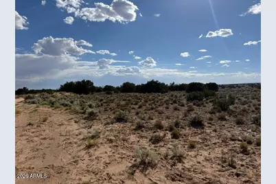 Tbd County Rd N7207 -- #-, Saint Johns, AZ 85936 - Photo 3