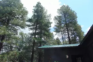 2878 Pinon Pine Dr, Show Low, AZ 85901 - Photo 25