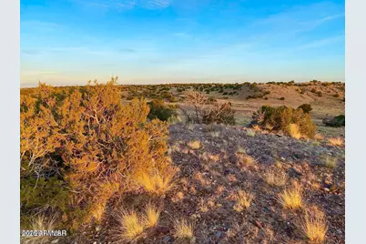 Woodland Valley Ranch Lot 902 -- #-, Saint Johns, AZ 85936 - Photo 9