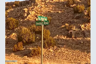Woodland Valley Ranch Lot 902 -- #-, Saint Johns, AZ 85936 - Photo 5
